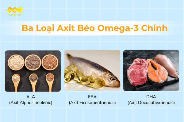 Có ba loại axit béo omega-3 chính là ALA, DHA và EPA